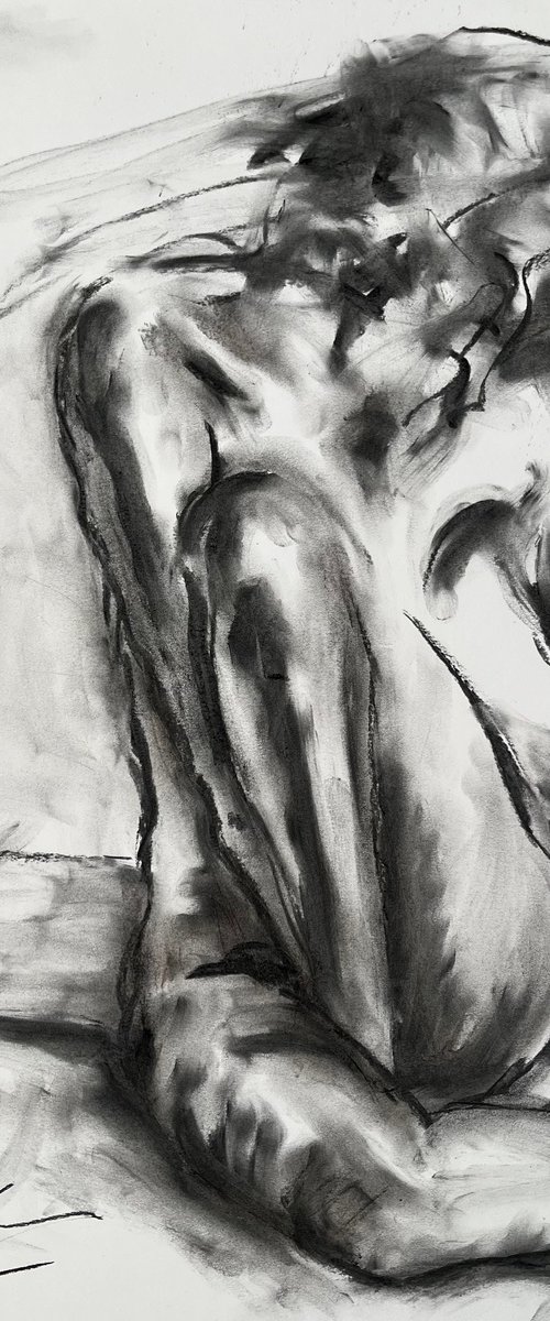 Devine Moment by James Shipton