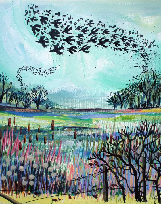 Starlings over the reedbeds