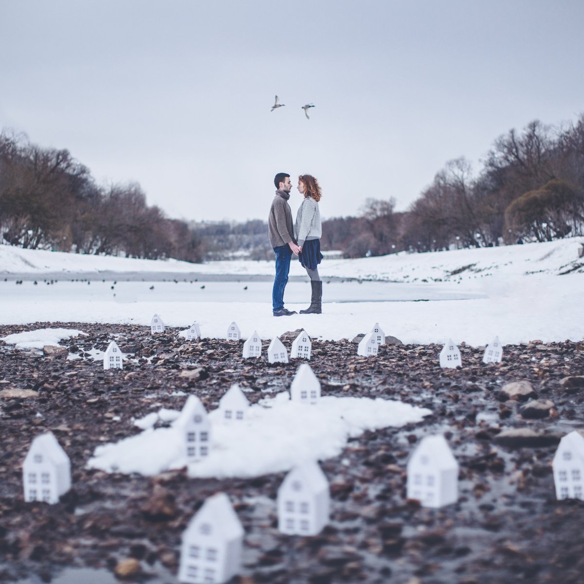 Ducks by Dasha Pears