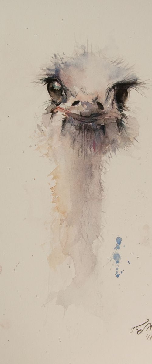 Ostrich by Tomasz Mikutel
