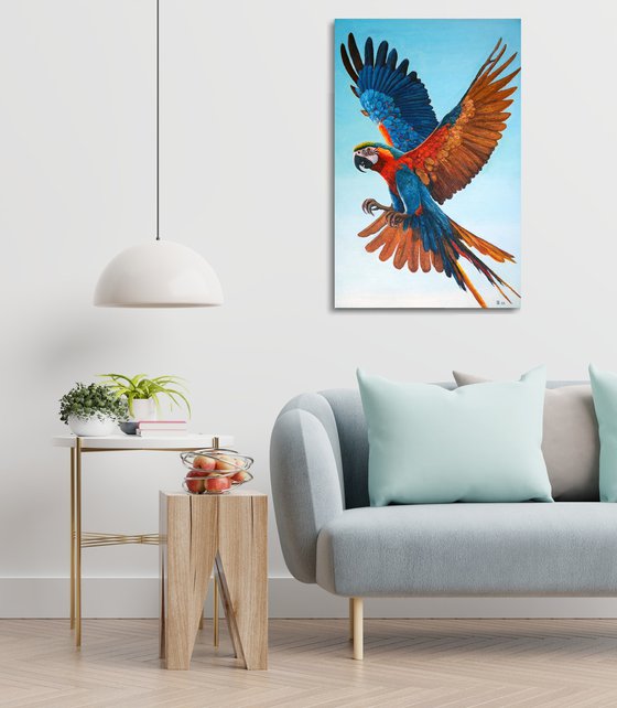 "Avian Glory"