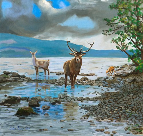 Deer Family at Loch Ness by Gordon Bruce