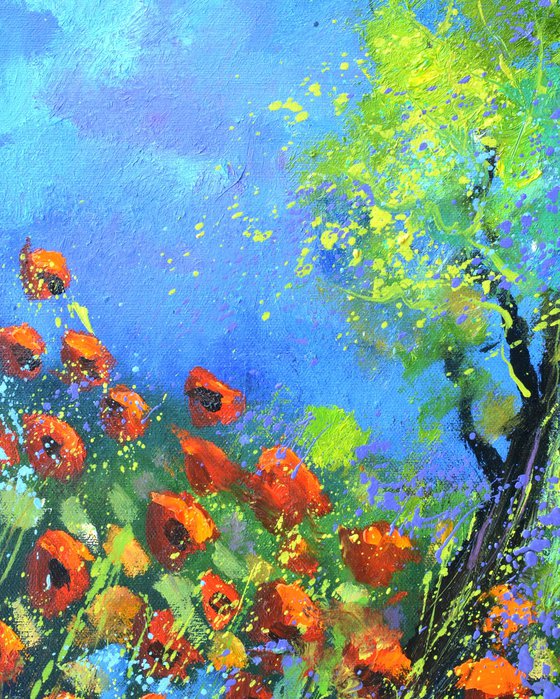 Red poppies 5623