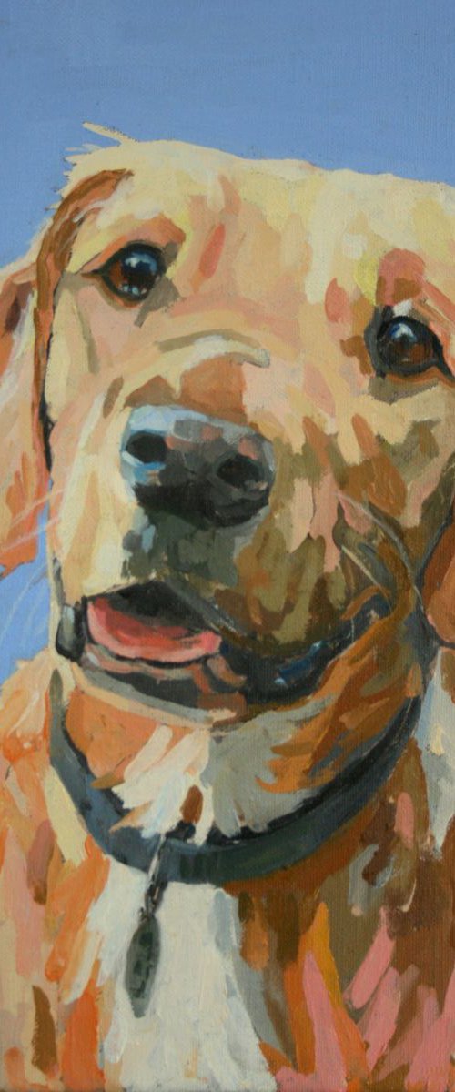 Buddy the Labrador by Katharine Rowe