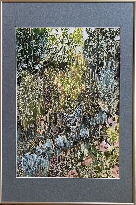 Two chickens in the garden