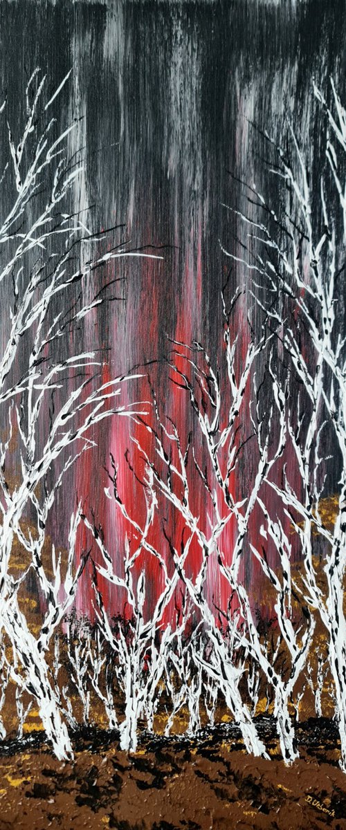 Birches In Winter 1 by Daniel Urbaník