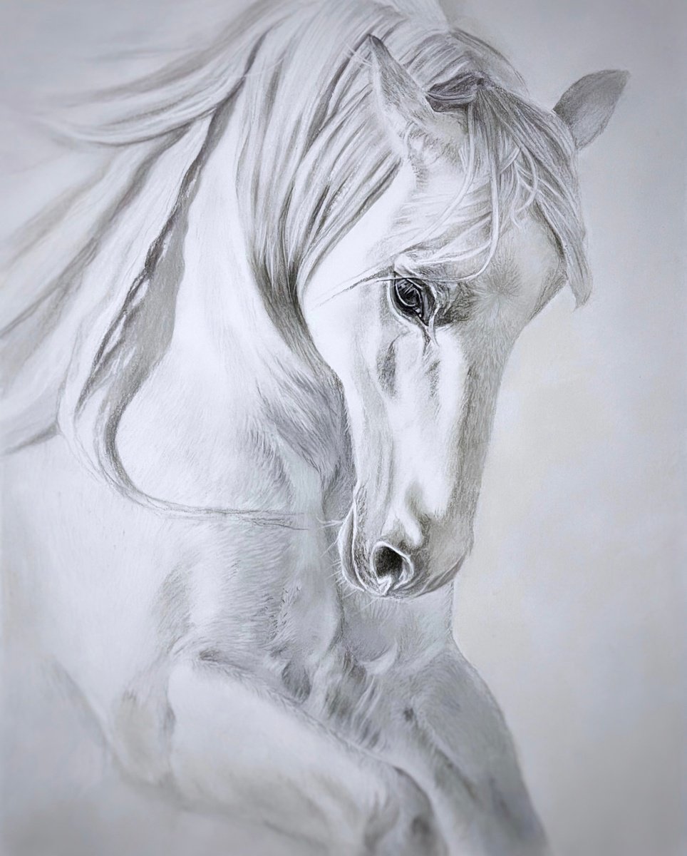 White horse by Irina Ponna