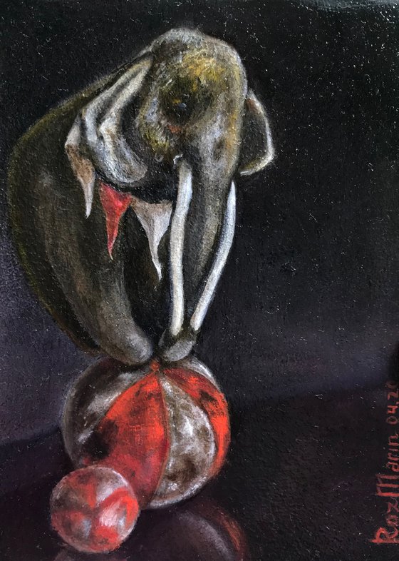 Circus Elephant