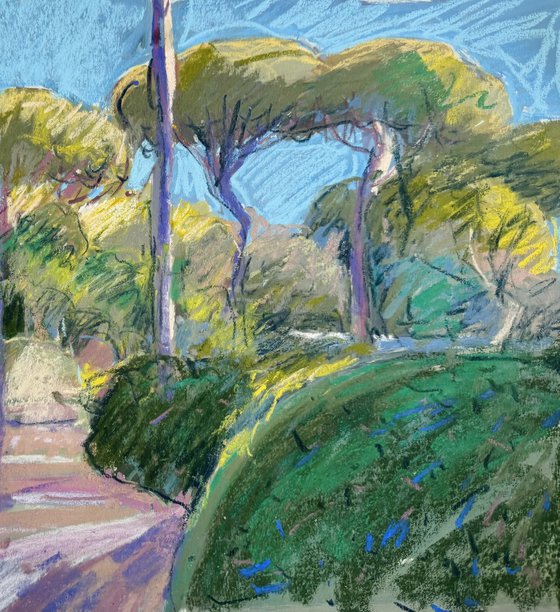 Portuguese pines