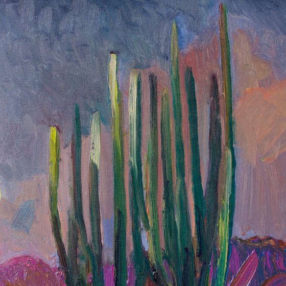 The Moon and Cactuses. Desert Night