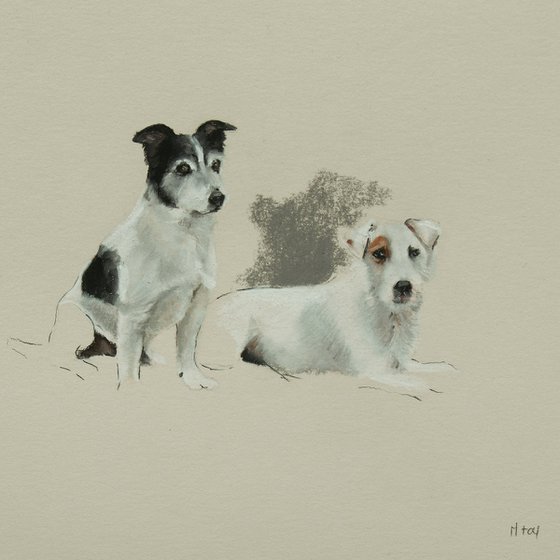 Terrier Sketch