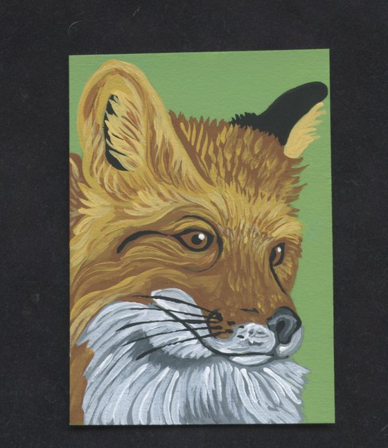 ACEO ATC Original Miniature Painting Red Fox Wildlife Art-Carla Smale