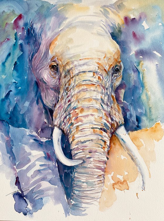 Keva_ the Elephant