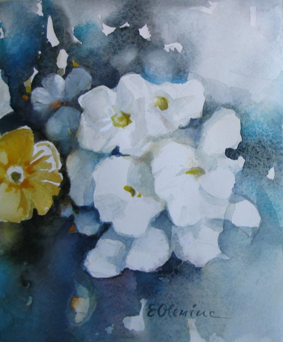Bloom