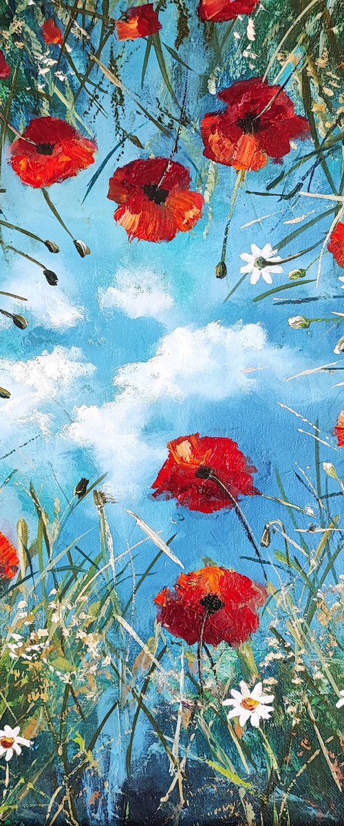 Poppy field. by Tatajana Obuhova