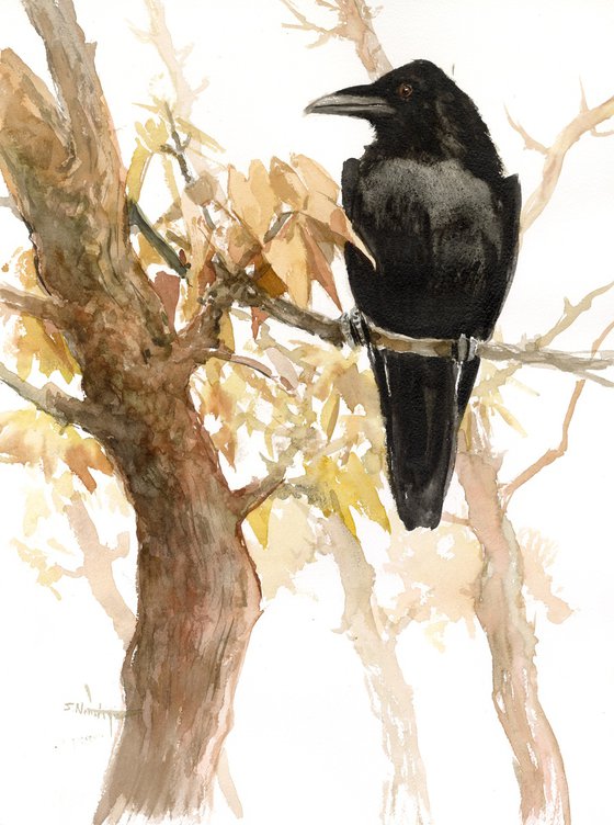 Raven in the Fall