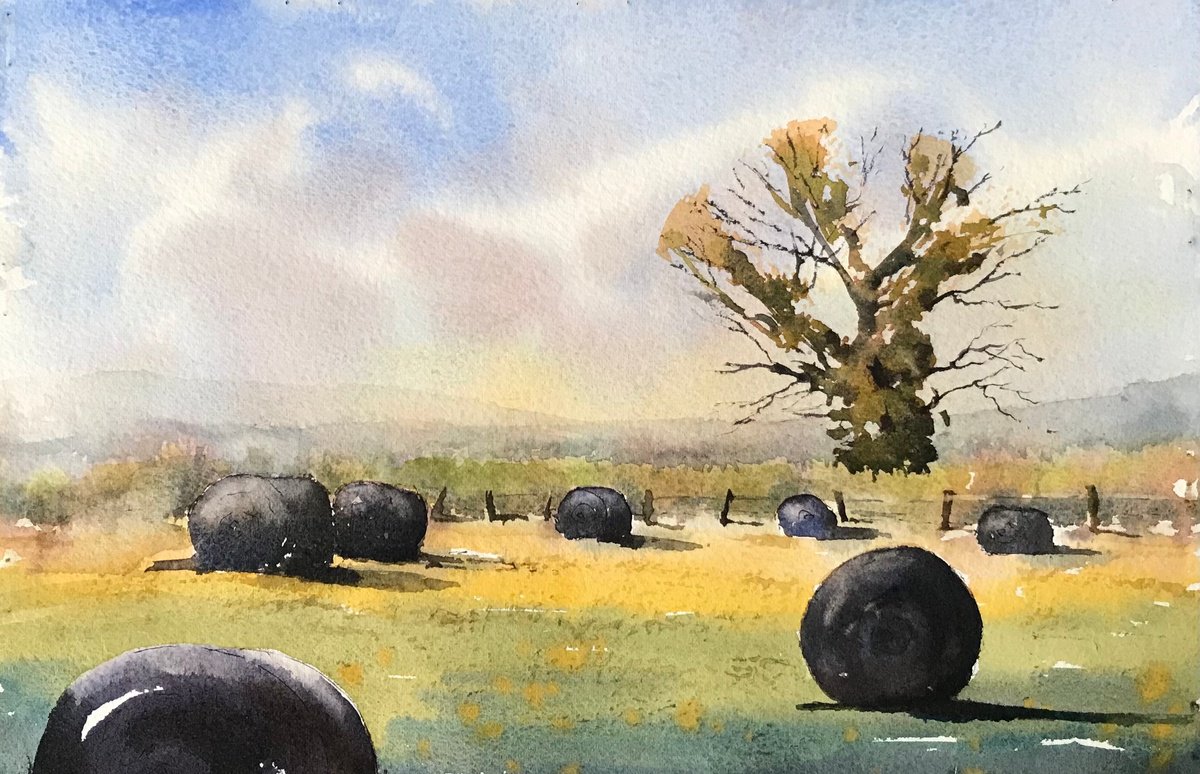 Harvest time by Vicki Washbourne