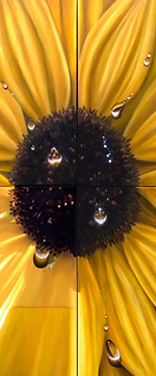 "Sunflower by Juan Bernal