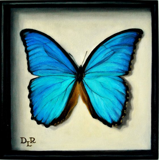 Blue Morpho