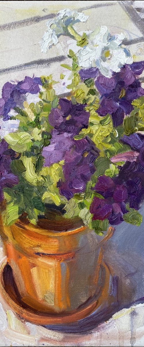 Violet flowers in Orange Pot by Nataliia Nosyk