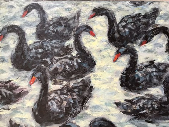 Black Swans