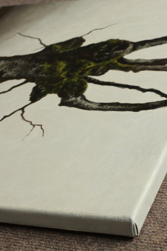Trees. A Triptych
