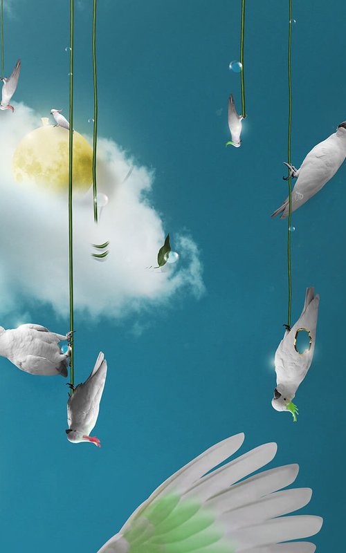 Cockatoos Hanging Around by Vanessa Stefanova