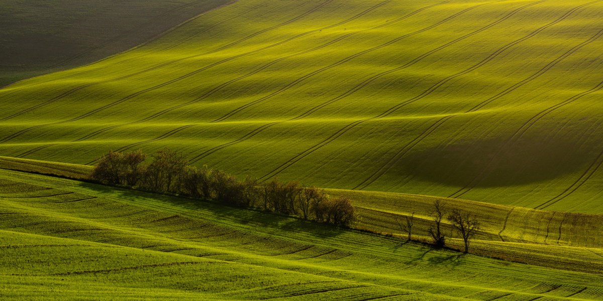 Sunset shades by Pavel Oskin