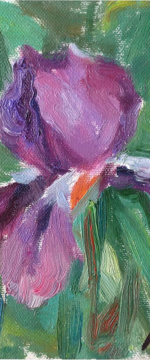 Violet iris . Spring Flowers original oil painting modern bouquet by Nataliia Nosyk