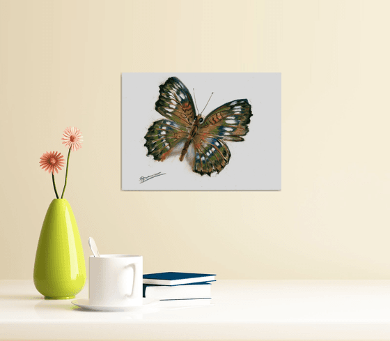 Butterfly (pastel)