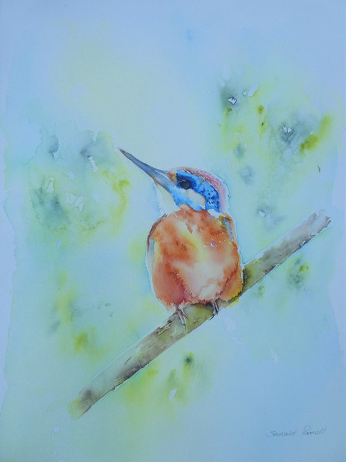 The Jewel Bird by Seonaid Parnell