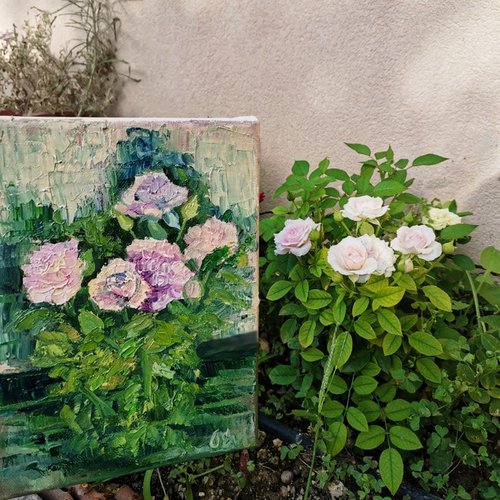 Delicate pale pink roses. 18x24 cm. Plein-air. Delicate rose rosa pallido by Oksana Evteeva