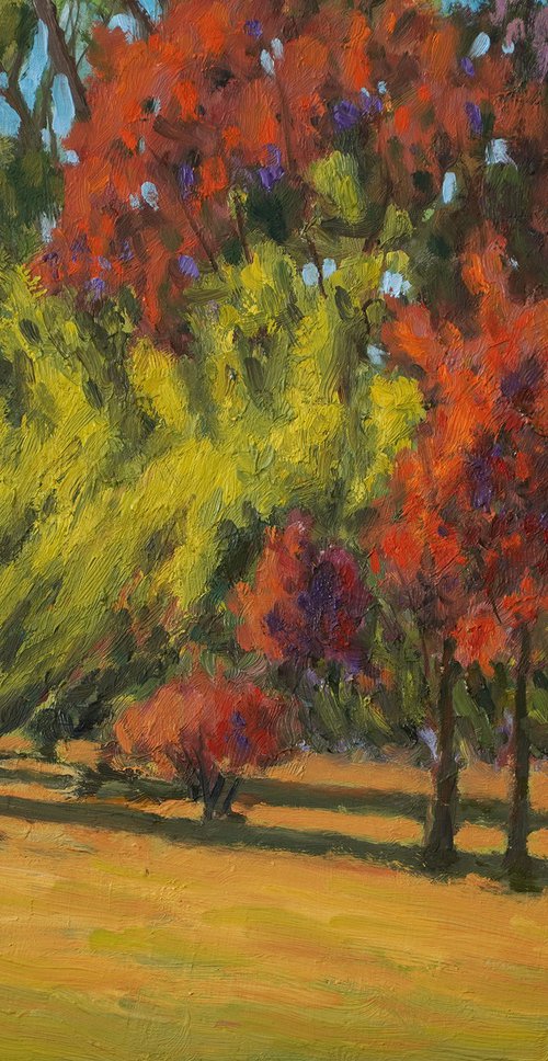 Brilliant Autumn Colored Trees by Daniel Fishback
