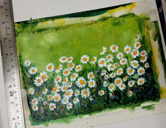 Daisies nodding in the breeze