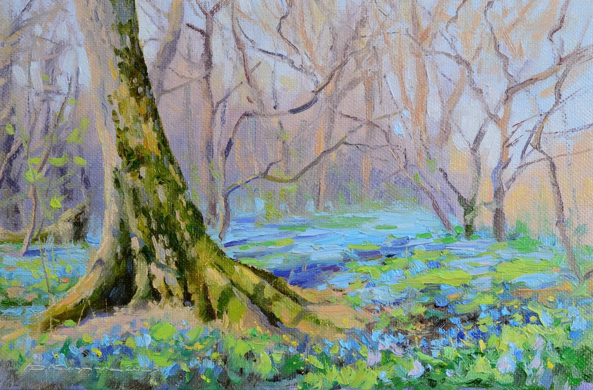Snowdrops Bloom By Ruslan Kiprych, 12 X 8, Artwork For Sale On Artfinder