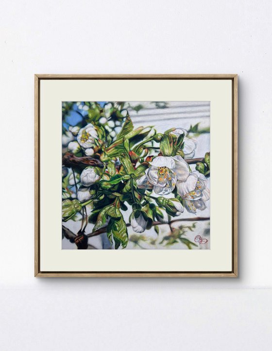 “Cherry flower“