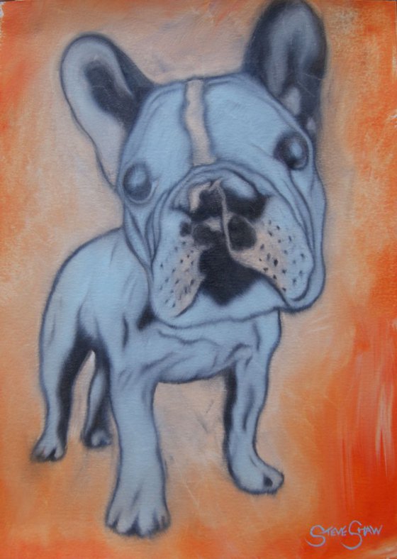 Sky Blue Pooch ( oil on paper ) Free Shipping