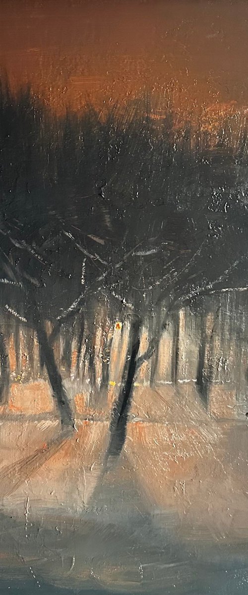 Night Park by Fosco Culto