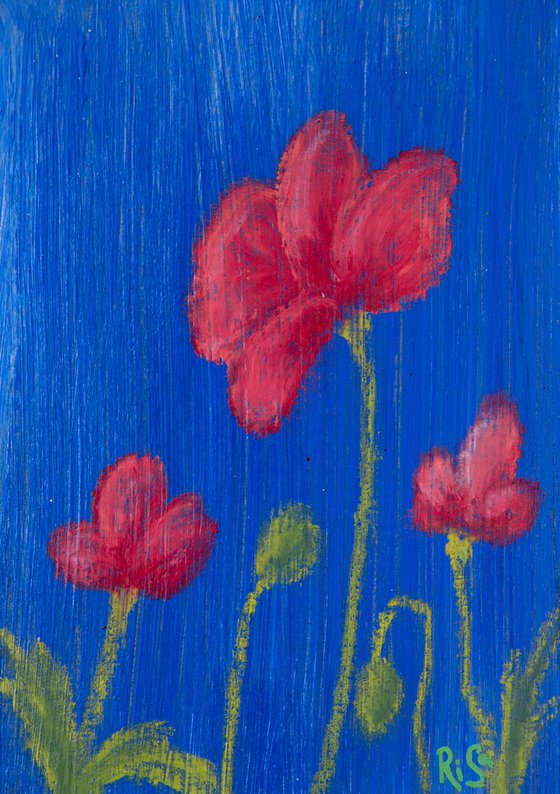 Night poppies