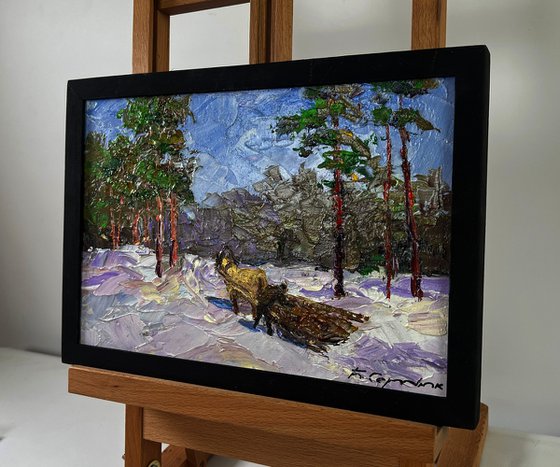 Winter Road through Quiet Forests