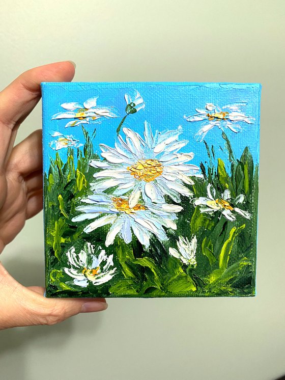 Small daisies