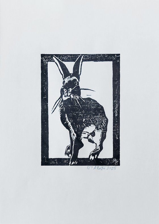 Rabbit 5/7