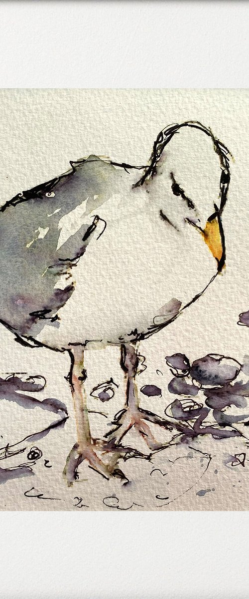 Seagull by Teresa Tanner