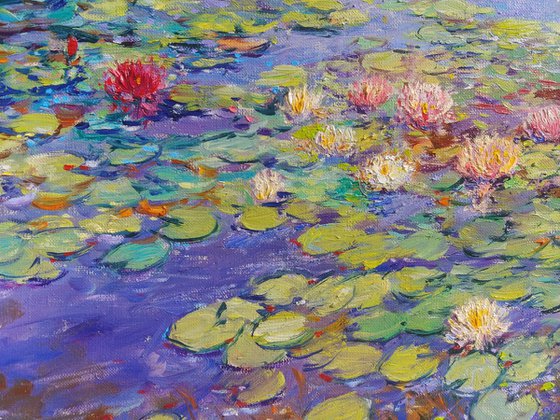 Nymphaeums are enveloped in the sun.