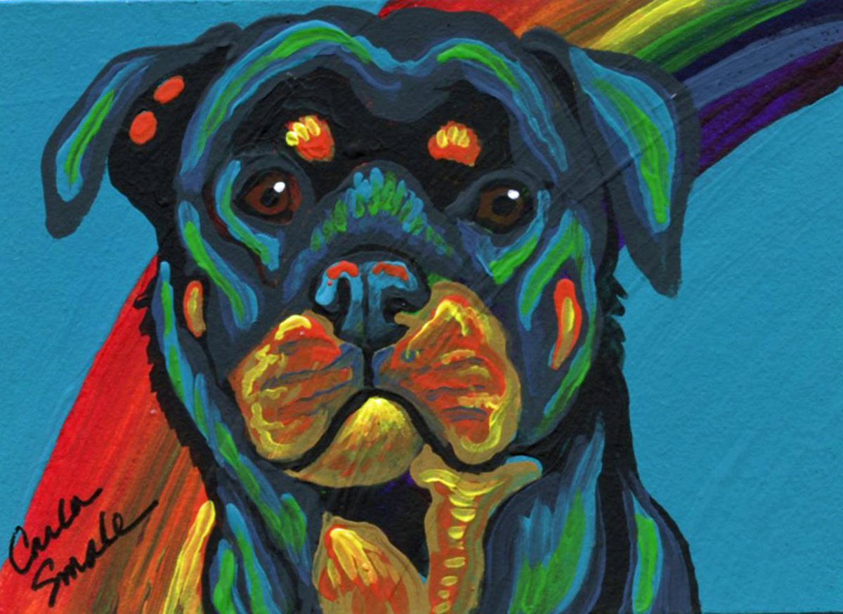 Rainbow Rottweiler by Carla Smale