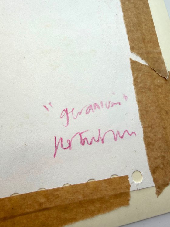 Geranium