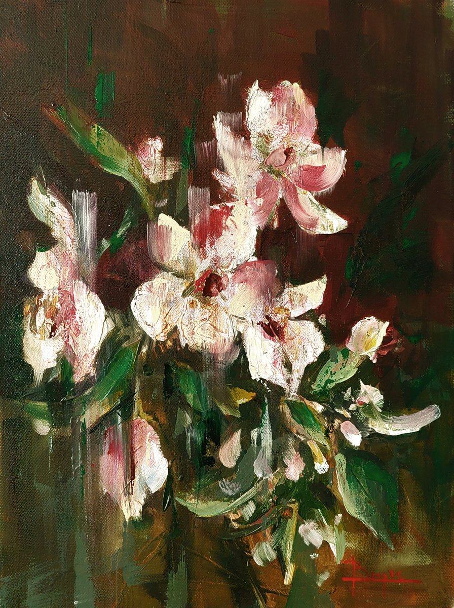 Blossom by Ovidiu Buzec