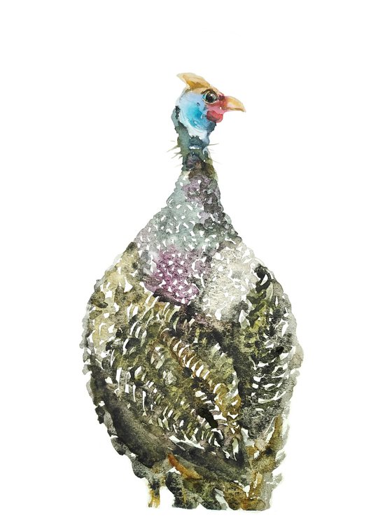 Guinea Fowl Bird, watercolor illustration