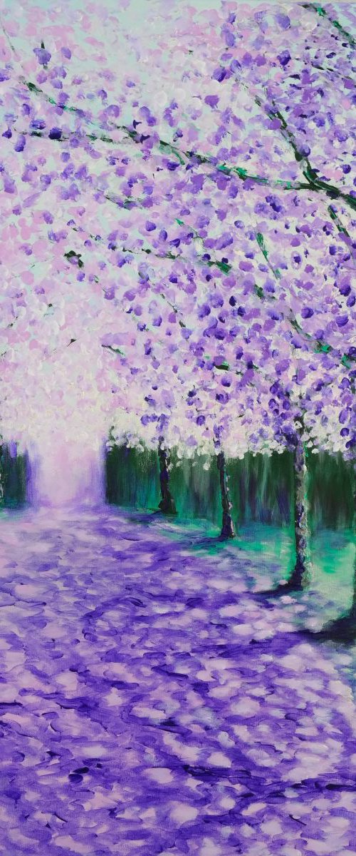 Cherry Blossom Tunnel by Danijela Dan