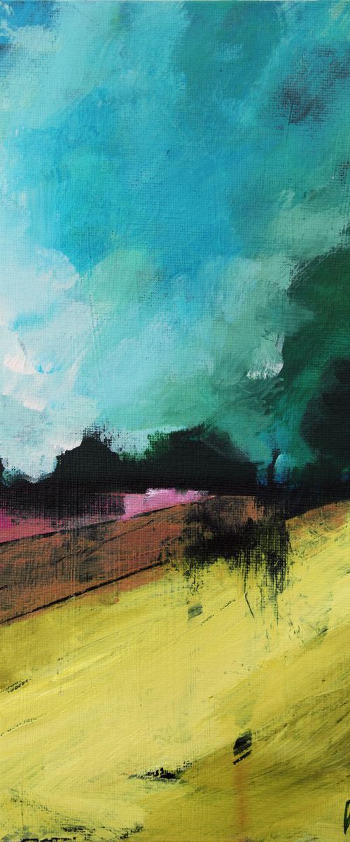 Summer Fields by Paul West